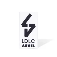 LDLC ASVEL Magnet