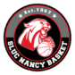 Logo SLUC Nancy