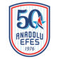 Logo Anadolu Efes Istanbul 2025
